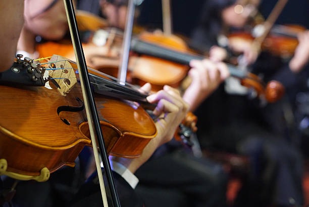 What Is the Violin Bow Made Of and Why Does the Material Matter?